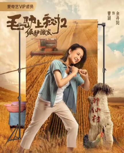 一级毛片免费全部播放完整